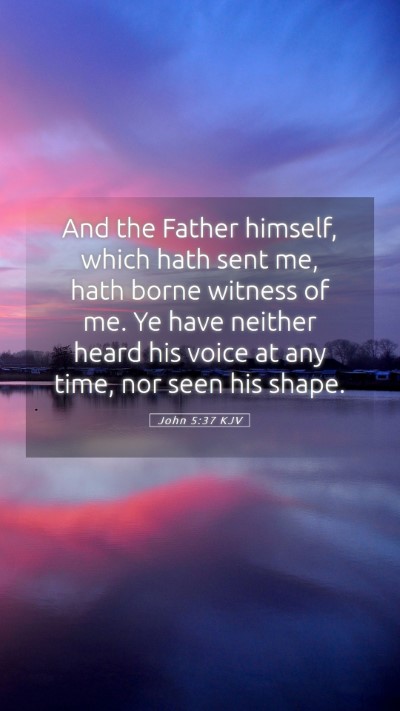 Picture 05 - John 5:37 KJV Mobile Phone Wallpaper - And the Father himself, which hath sent me, hath - Mobile Bible Verse Wallpaper