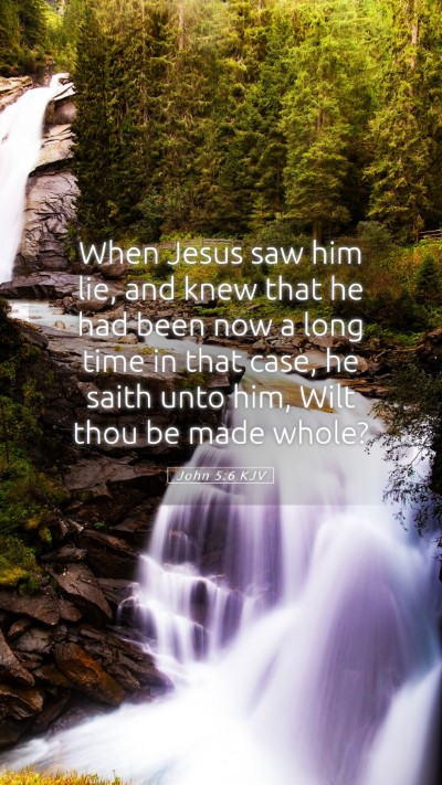 Picture 05 - John 5:6 KJV Mobile Phone Wallpaper - When Jesus saw him lie, and knew that he had been - Mobile Bible Verse Wallpaper
