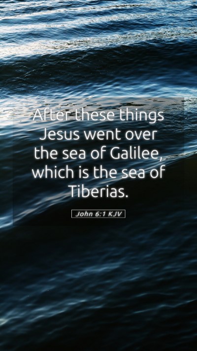 Picture 05 - John 6:1 KJV Mobile Phone Wallpaper - After these things Jesus went over the sea of - Mobile Bible Verse Wallpaper