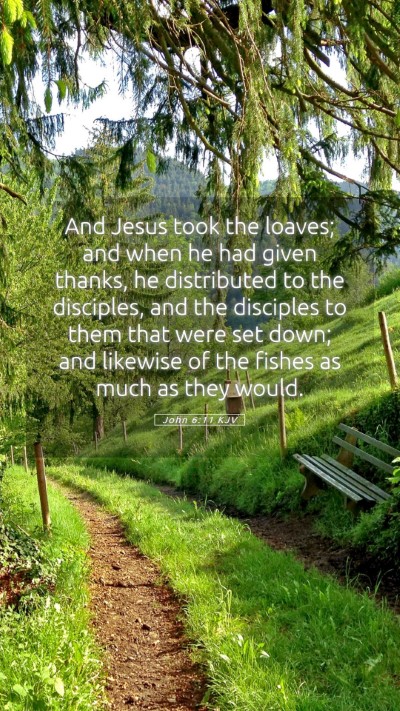 Picture 05 - John 6:11 KJV Mobile Phone Wallpaper - And Jesus took the loaves; and when he had given - Mobile Bible Verse Wallpaper