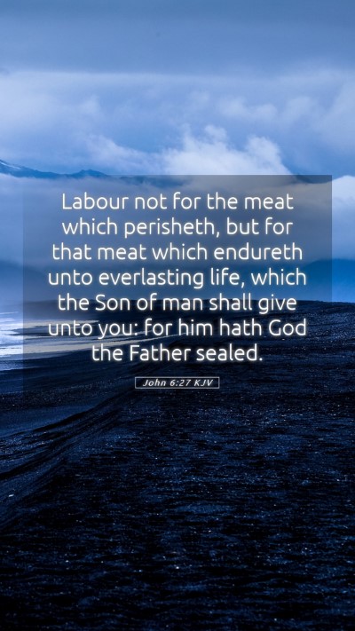 Picture 05 - John 6:27 KJV Mobile Phone Wallpaper - Labour not for the meat which perisheth, but for - Mobile Bible Verse Wallpaper