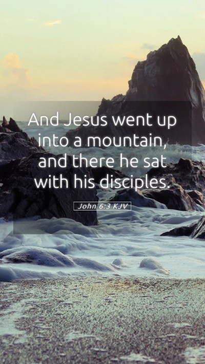 Picture 05 - John 6:3 KJV Mobile Phone Wallpaper - And Jesus went up into a mountain, and there he - Mobile Bible Verse Wallpaper