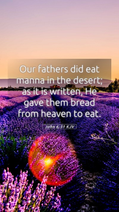 Picture 05 - John 6:31 KJV Mobile Phone Wallpaper - Our fathers did eat manna in the desert; as it is - Mobile Bible Verse Wallpaper