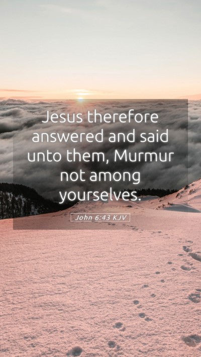 Picture 05 - John 6:43 KJV Mobile Phone Wallpaper - Jesus therefore answered and said unto them, - Mobile Bible Verse Wallpaper