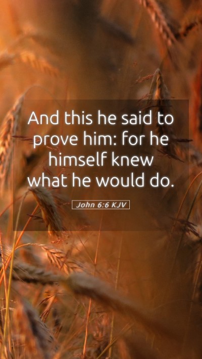 Picture 05 - John 6:6 KJV Mobile Phone Wallpaper - And this he said to prove him: for he himself - Mobile Bible Verse Wallpaper