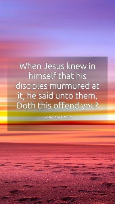 Picture 05 - John 6:61 KJV Mobile Phone Wallpaper - When Jesus knew in himself that his disciples - Mobile Bible Verse Wallpaper