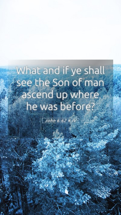 Picture 05 - John 6:62 KJV Mobile Phone Wallpaper - What and if ye shall see the Son of man ascend up - Mobile Bible Verse Wallpaper