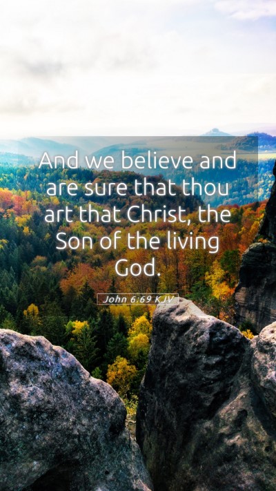 Picture 05 - John 6:69 KJV Mobile Phone Wallpaper - And we believe and are sure that thou art that - Mobile Bible Verse Wallpaper