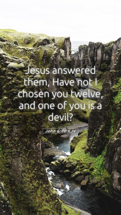 Picture 05 - John 6:70 KJV Mobile Phone Wallpaper - Jesus answered them, Have not I chosen you - Mobile Bible Verse Wallpaper