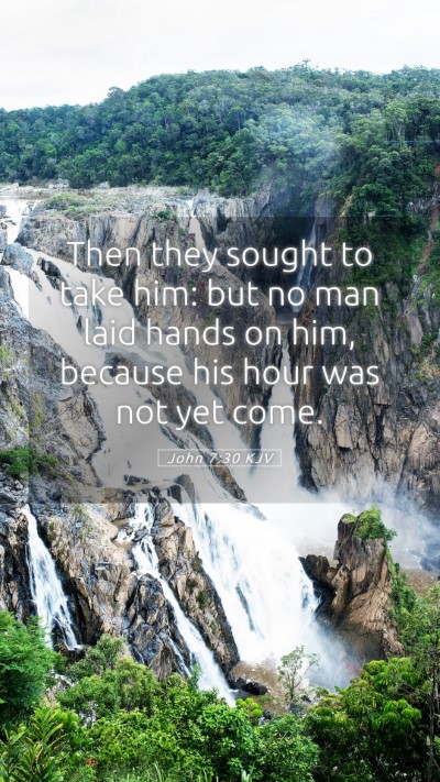 Picture 05 - John 7:30 KJV Mobile Phone Wallpaper - Then they sought to take him: but no man laid - Mobile Bible Verse Wallpaper
