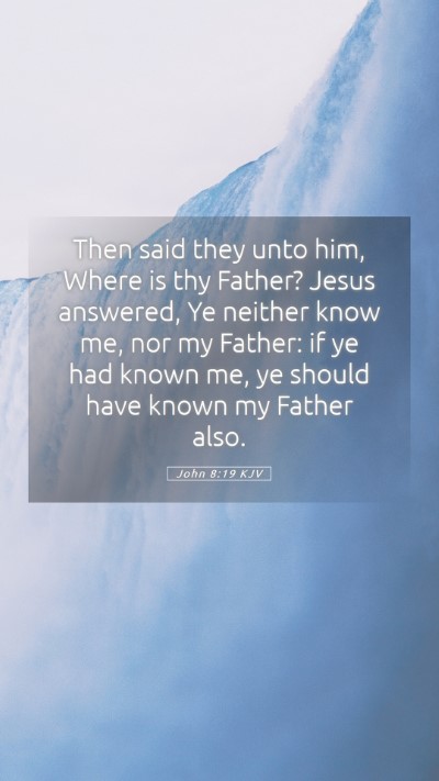 Picture 05 - John 8:19 KJV Mobile Phone Wallpaper - Then said they unto him, Where is thy Father? - Mobile Bible Verse Wallpaper