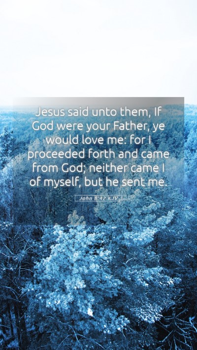 Picture 05 - John 8:42 KJV Mobile Phone Wallpaper - Jesus said unto them, If God were your Father, ye - Mobile Bible Verse Wallpaper