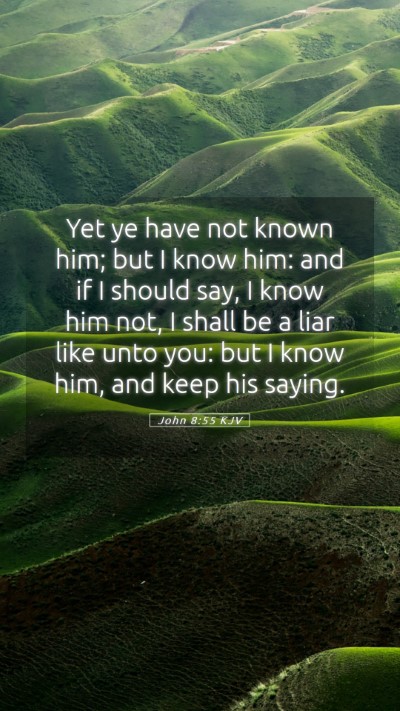 Picture 05 - John 8:55 KJV Mobile Phone Wallpaper - Yet ye have not known him; but I know him: and if - Mobile Bible Verse Wallpaper