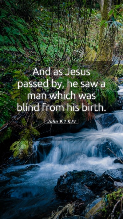 Picture 05 - John 9:1 KJV Mobile Phone Wallpaper - And as Jesus passed by, he saw a man which was - Mobile Bible Verse Wallpaper