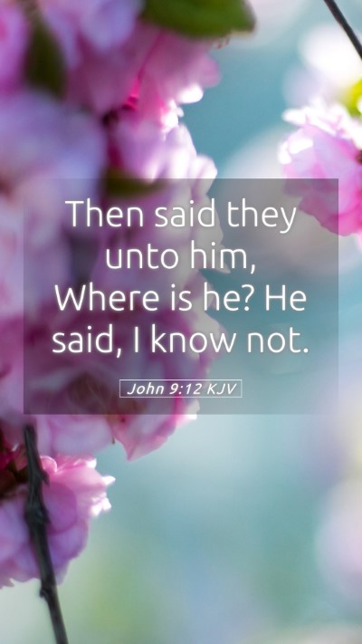 Picture 05 - John 9:12 KJV Mobile Phone Wallpaper - Then said they unto him, Where is he? He said, I - Mobile Bible Verse Wallpaper