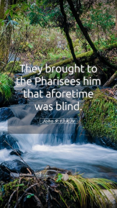 Picture 05 - John 9:13 KJV Mobile Phone Wallpaper - They brought to the Pharisees him that aforetime - Mobile Bible Verse Wallpaper