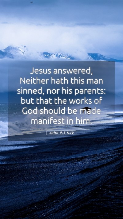 Picture 05 - John 9:3 KJV Mobile Phone Wallpaper - Jesus answered, Neither hath this man sinned, nor - Mobile Bible Verse Wallpaper