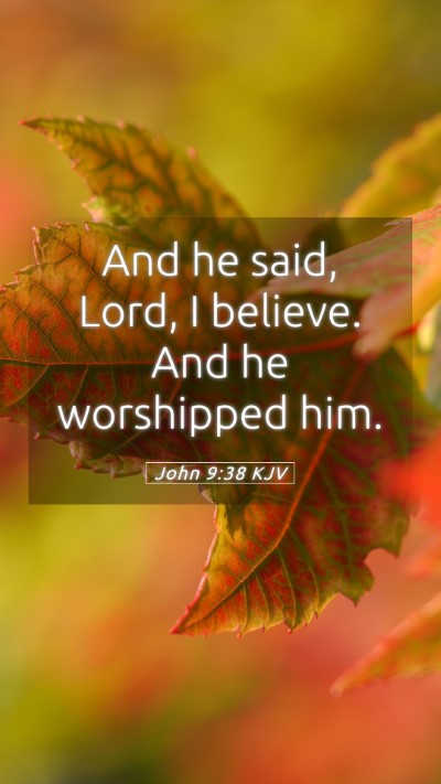 Picture 05 - John 9:38 KJV Mobile Phone Wallpaper - And he said, Lord, I believe. And he worshipped - Mobile Bible Verse Wallpaper
