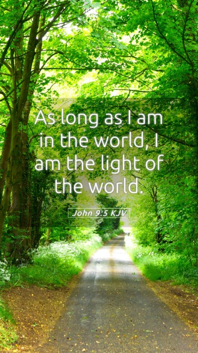 Picture 05 - John 9:5 KJV Mobile Phone Wallpaper - As long as I am in the world, I am the light of - Mobile Bible Verse Wallpaper