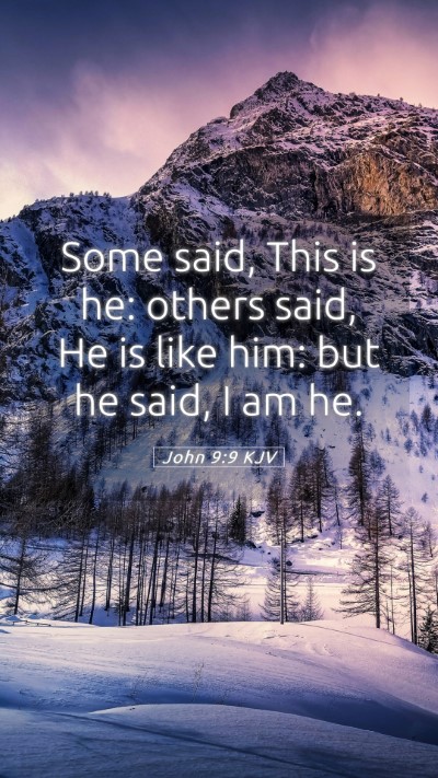 Picture 05 - John 9:9 KJV Mobile Phone Wallpaper - Some said, This is he: others said, He is like - Mobile Bible Verse Wallpaper