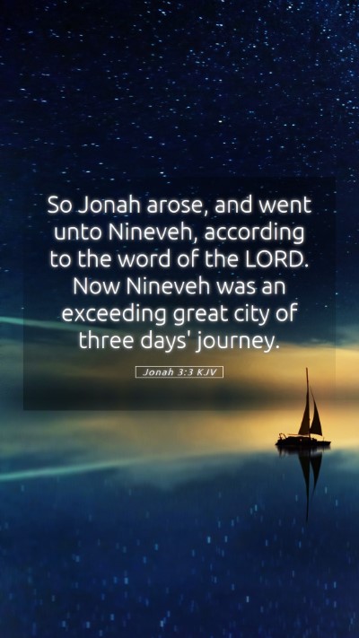 Picture 05 - Jonah 3:3 KJV Mobile Phone Wallpaper - So Jonah arose, and went unto Nineveh, according - Mobile Bible Verse Wallpaper