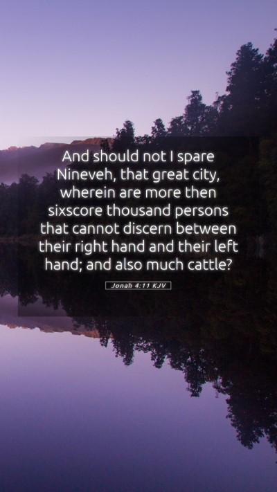 Picture 05 - Jonah 4:11 KJV Mobile Phone Wallpaper - And should not I spare Nineveh, that great city, - Mobile Bible Verse Wallpaper