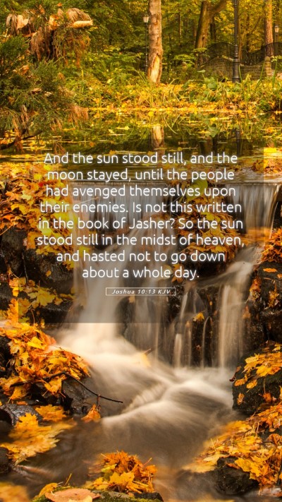 Picture 05 - Joshua 10:13 KJV Mobile Phone Wallpaper - And the sun stood still, and the moon stayed, - Mobile Bible Verse Wallpaper