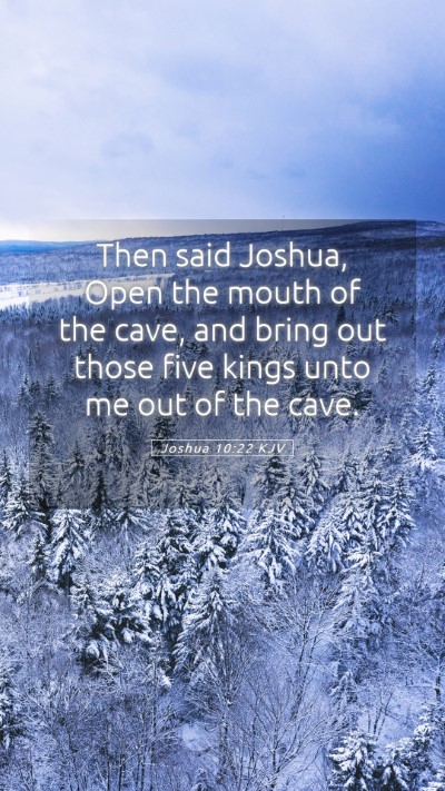Picture 05 - Joshua 10:22 KJV Mobile Phone Wallpaper - Then said Joshua, Open the mouth of the cave, and - Mobile Bible Verse Wallpaper
