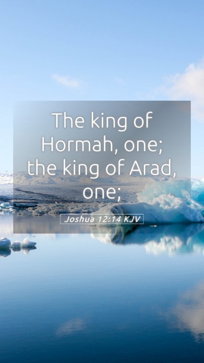 Picture 05 - Joshua 12:14 KJV Mobile Phone Wallpaper - The king of Hormah, one; the king of Arad, - Mobile Bible Verse Wallpaper