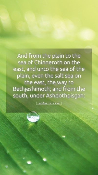 Picture 05 - Joshua 12:3 KJV Mobile Phone Wallpaper - And from the plain to the sea of Chinneroth on - Mobile Bible Verse Wallpaper