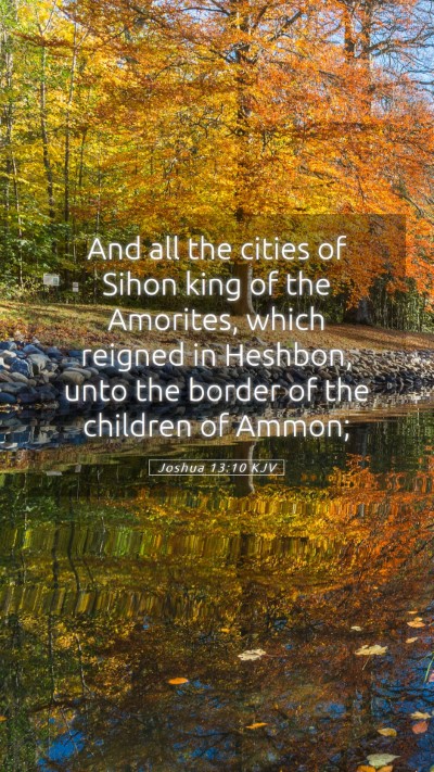 Picture 05 - Joshua 13:10 KJV Mobile Phone Wallpaper - And all the cities of Sihon king of the Amorites, - Mobile Bible Verse Wallpaper