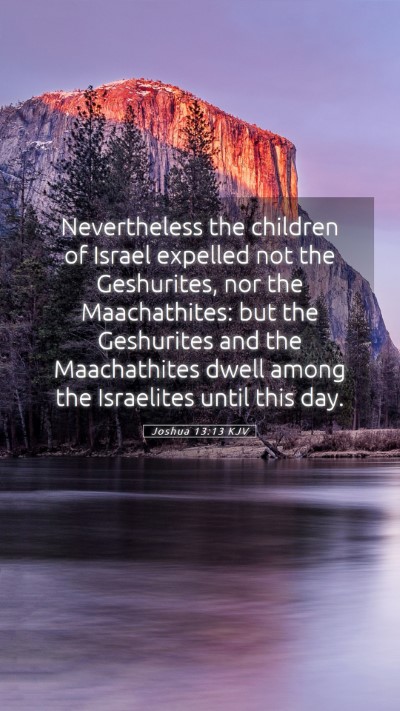 Picture 05 - Joshua 13:13 KJV Mobile Phone Wallpaper - Nevertheless the children of Israel expelled not - Mobile Bible Verse Wallpaper