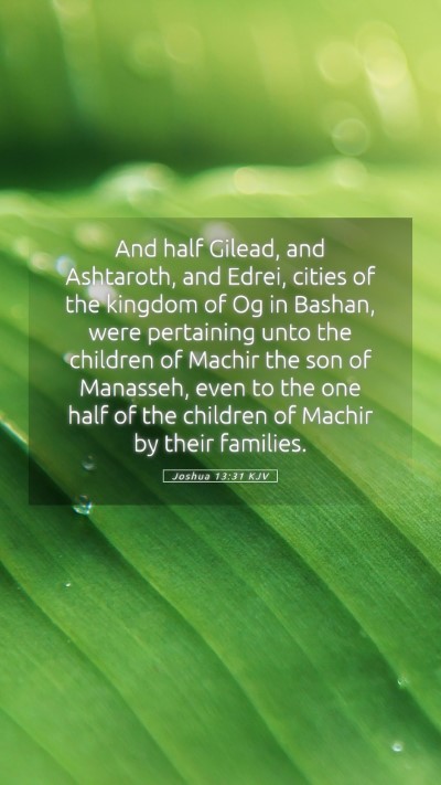 Picture 05 - Joshua 13:31 KJV Mobile Phone Wallpaper - And half Gilead, and Ashtaroth, and Edrei, cities - Mobile Bible Verse Wallpaper