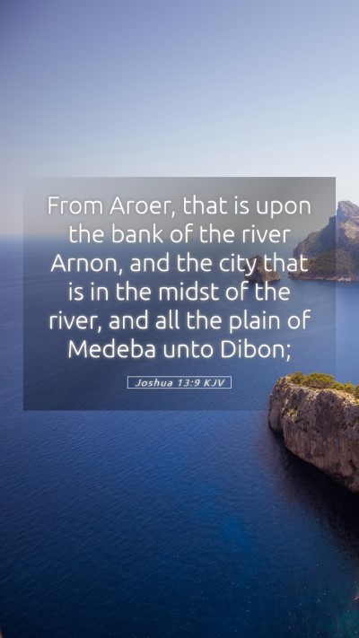 Picture 05 - Joshua 13:9 KJV Mobile Phone Wallpaper - From Aroer, that is upon the bank of the river - Mobile Bible Verse Wallpaper