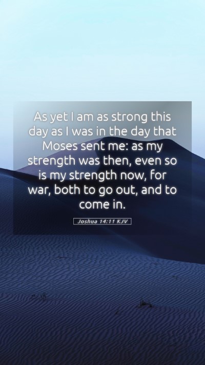 Picture 05 - Joshua 14:11 KJV Mobile Phone Wallpaper - As yet I am as strong this day as I was in the - Mobile Bible Verse Wallpaper