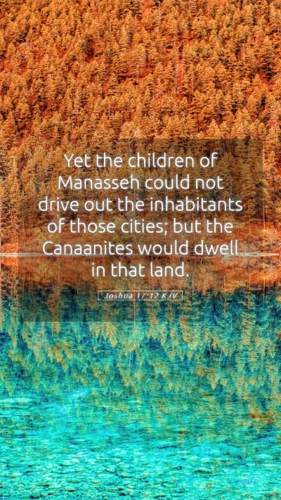 Picture 05 - Joshua 17:12 KJV Mobile Phone Wallpaper - Yet the children of Manasseh could not drive out - Mobile Bible Verse Wallpaper