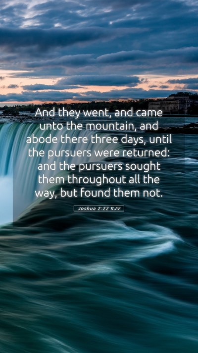Picture 05 - Joshua 2:22 KJV Mobile Phone Wallpaper - And they went, and came unto the mountain, and - Mobile Bible Verse Wallpaper