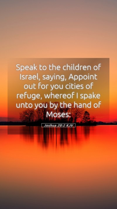 Picture 05 - Joshua 20:2 KJV Mobile Phone Wallpaper - Speak to the children of Israel, saying, Appoint - Mobile Bible Verse Wallpaper