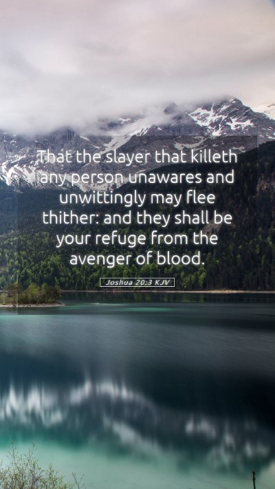 Picture 05 - Joshua 20:3 KJV Mobile Phone Wallpaper - That the slayer that killeth any person unawares - Mobile Bible Verse Wallpaper
