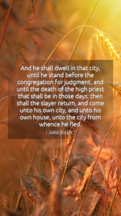 Picture 05 - Joshua 20:6 KJV Mobile Phone Wallpaper - And he shall dwell in that city, until he stand - Mobile Bible Verse Wallpaper