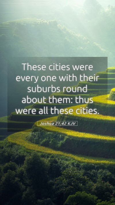 Picture 05 - Joshua 21:42 KJV Mobile Phone Wallpaper - These cities were every one with their suburbs - Mobile Bible Verse Wallpaper
