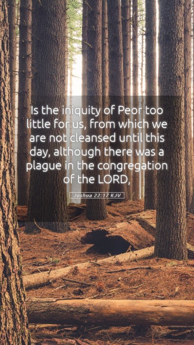 Picture 05 - Joshua 22:17 KJV Mobile Phone Wallpaper - Is the iniquity of Peor too little for us, from - Mobile Bible Verse Wallpaper