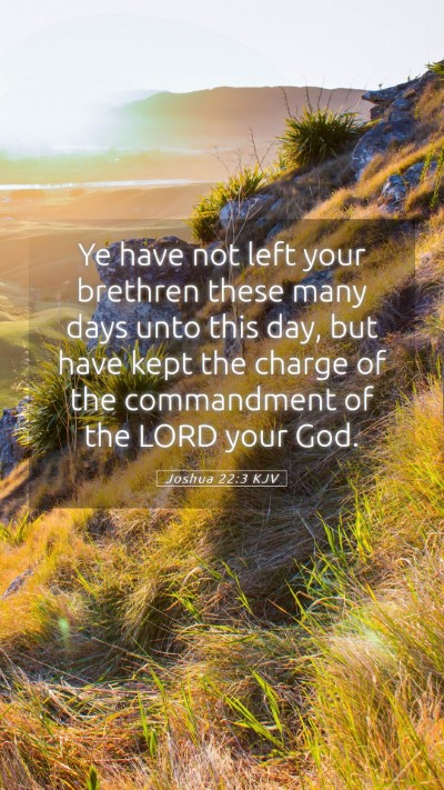 Picture 05 - Joshua 22:3 KJV Mobile Phone Wallpaper - Ye have not left your brethren these many days - Mobile Bible Verse Wallpaper