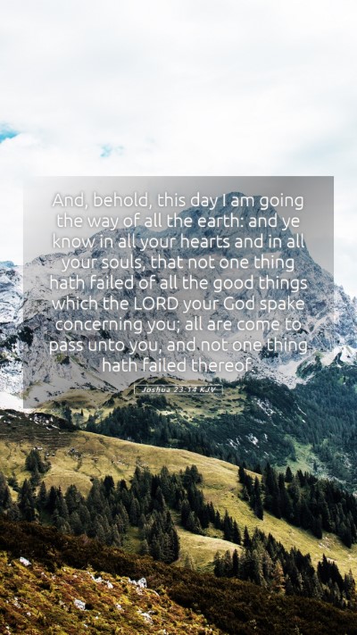 Picture 05 - Joshua 23:14 KJV Mobile Phone Wallpaper - And, behold, this day I am going the way of all - Mobile Bible Verse Wallpaper