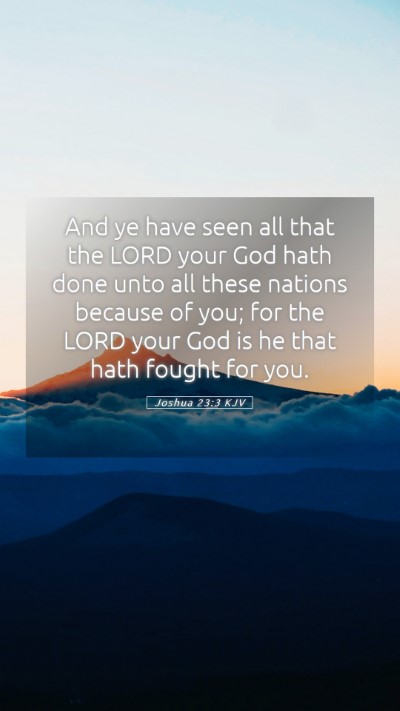 Picture 05 - Joshua 23:3 KJV Mobile Phone Wallpaper - And ye have seen all that the LORD your God hath - Mobile Bible Verse Wallpaper