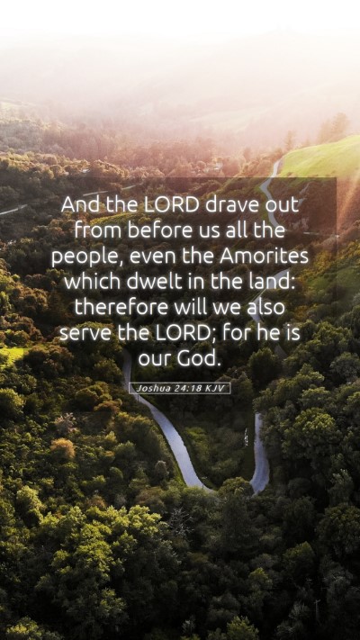 Picture 05 - Joshua 24:18 KJV Mobile Phone Wallpaper - And the LORD drave out from before us all the - Mobile Bible Verse Wallpaper