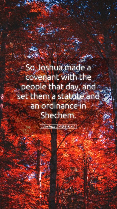 Picture 05 - Joshua 24:25 KJV Mobile Phone Wallpaper - So Joshua made a covenant with the people that - Mobile Bible Verse Wallpaper