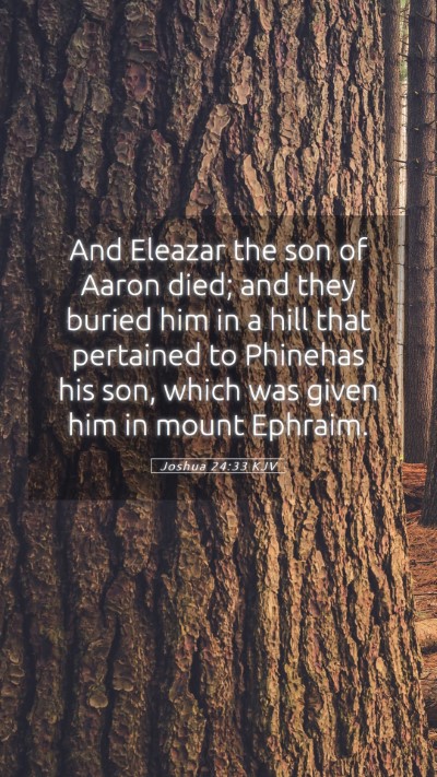 Picture 05 - Joshua 24:33 KJV Mobile Phone Wallpaper - And Eleazar the son of Aaron died; and they - Mobile Bible Verse Wallpaper