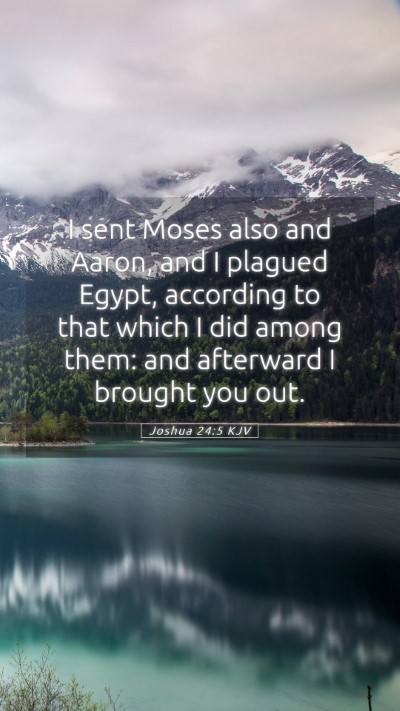 Picture 05 - Joshua 24:5 KJV Mobile Phone Wallpaper - I sent Moses also and Aaron, and I plagued Egypt, - Mobile Bible Verse Wallpaper