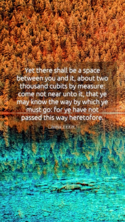 Picture 05 - Joshua 3:4 KJV Mobile Phone Wallpaper - Yet there shall be a space between you and it, - Mobile Bible Verse Wallpaper